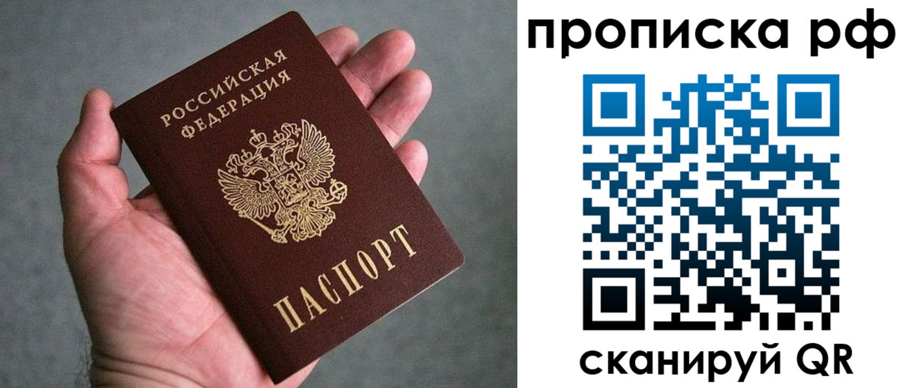 прописка поиск в Сухиничи